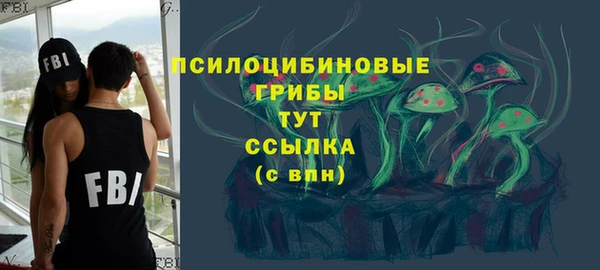 ПСИЛОЦИБИНОВЫЕ ГРИБЫ Алзамай